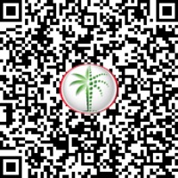 فيجي 2 في جزُر داماك QR Code